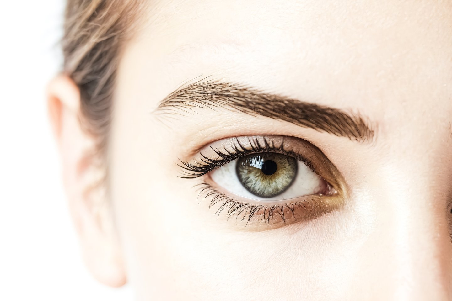 Zdjęcie henny pudrowej